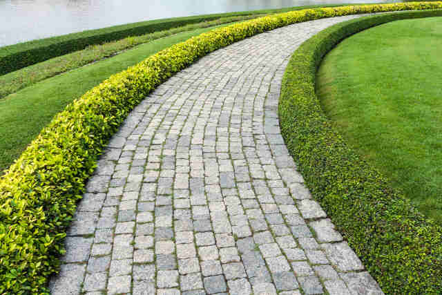 curved brick sidewalk with green grass on either side